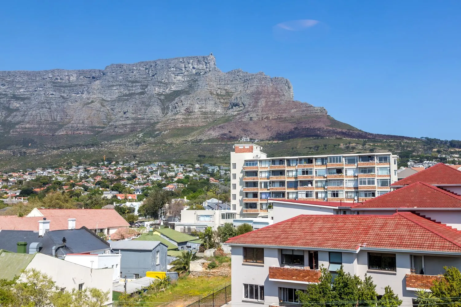 Table Mountain, from the studio